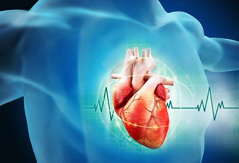 Cardiometabólicos e a frequência cardíaca